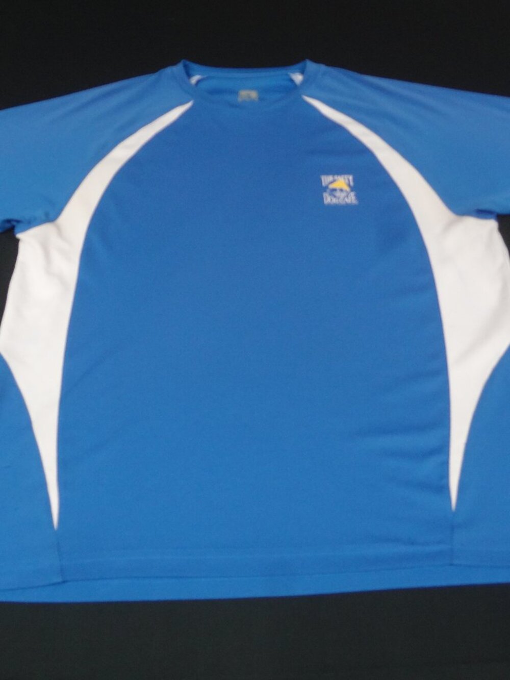 SALTY DOG CAFE BLUE WHITE ATHLETIC SHIRT LARGE L625 (FABRIC PULL C PICS)